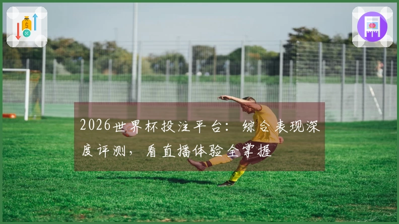 2026世界杯投注平台：综合表现深度评测，看直播体验全掌握
