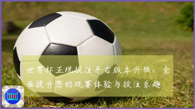 世界杯正规投注平台版本升级，全面提升您的观赛体验与投注乐趣