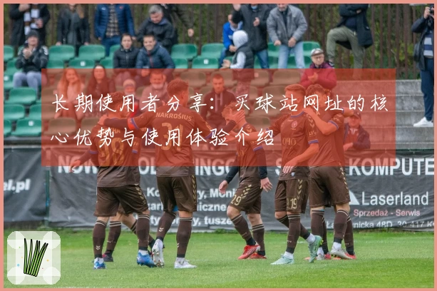 长期使用者分享：买球站网址的核心优势与使用体验介绍