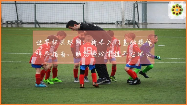 世界杯买球网：新手入门基础操作详尽指南，助您轻松掌握平台玩法